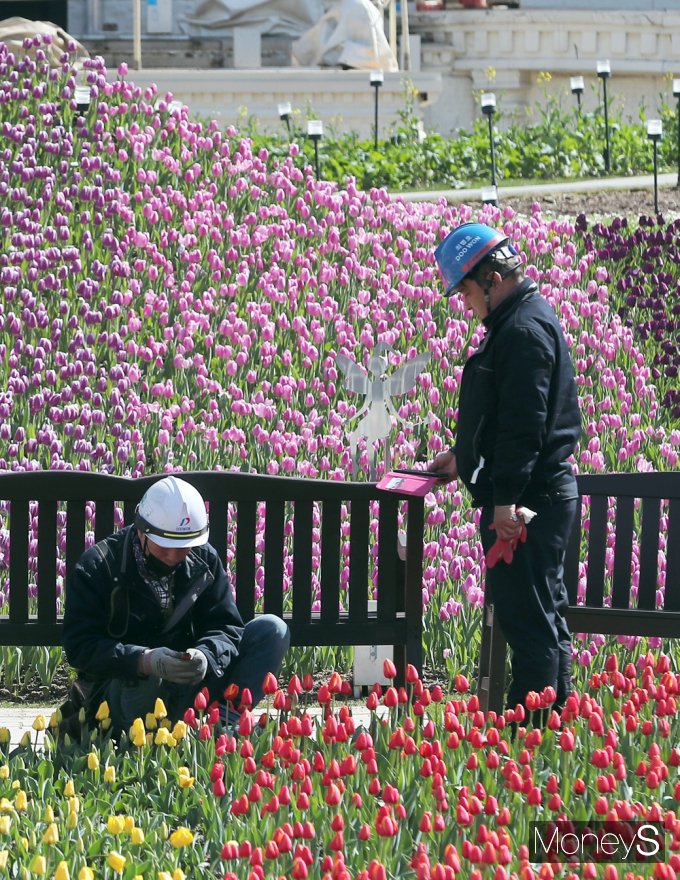 [머니S포토] 에버랜드 '페어리 타운' 오픈 하루 앞 막바지 준비