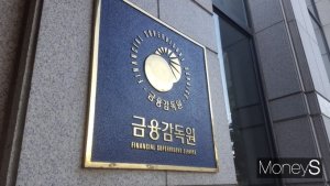금감원, 핀테크 기업 IT 리스크 선제 대응… 규제·시스템 정비