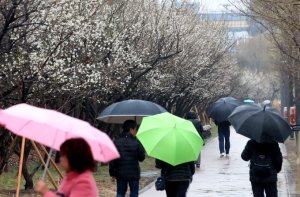 [오늘 날씨] "우산 챙기세요"… 서울 낮 최고 21도, 전국 '봄비'