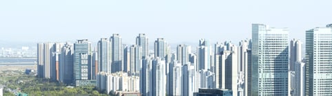 ����Ǯ�� ������ (߾)