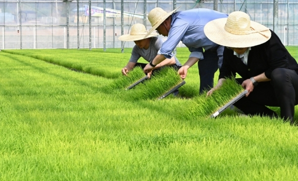 "양도세 0원 아니었어?" 10년 소유 농지, 1억 추징 '날벼락', 왜