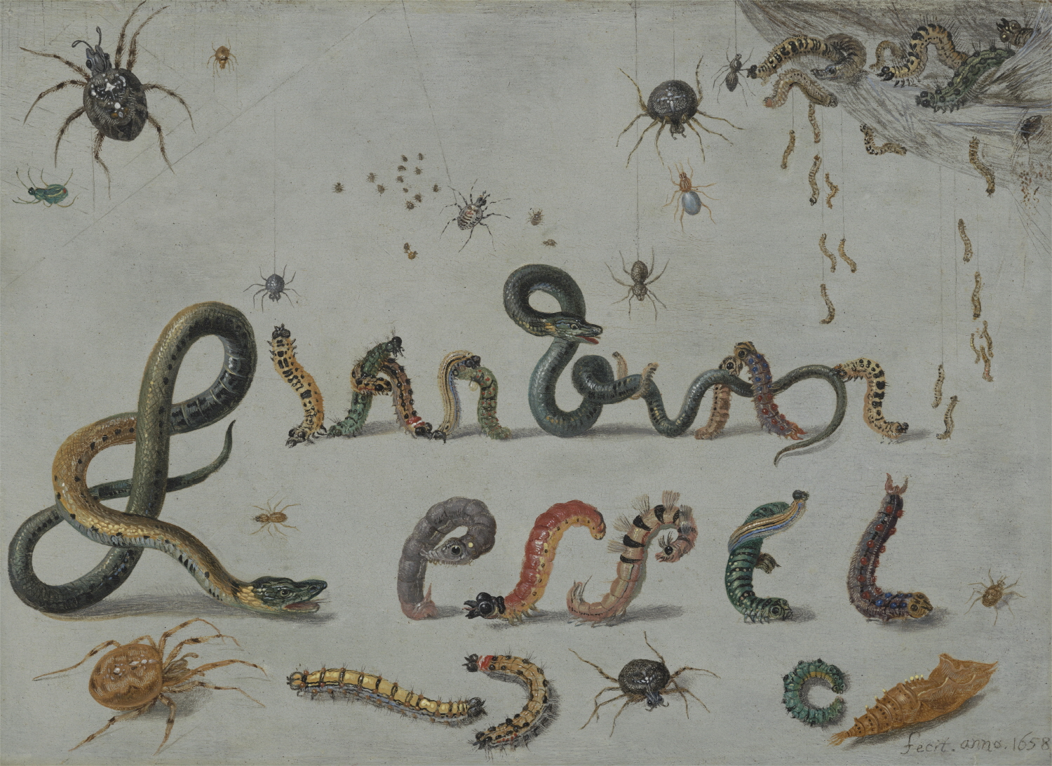 얀 판 케셀 1세, <곤충과 파충류 속의 예술가의 이름>, 1658년(Alex Jamison/Oak Spring Garden Foundation)