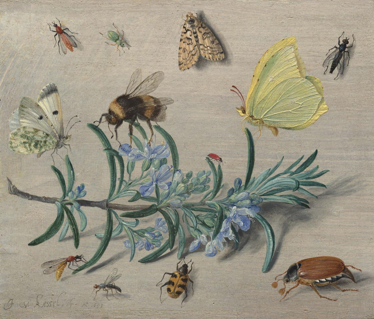 얀 판 케셀 1세, <곤충과 로즈마리 가지>, 1653년(National Gallery of Art)