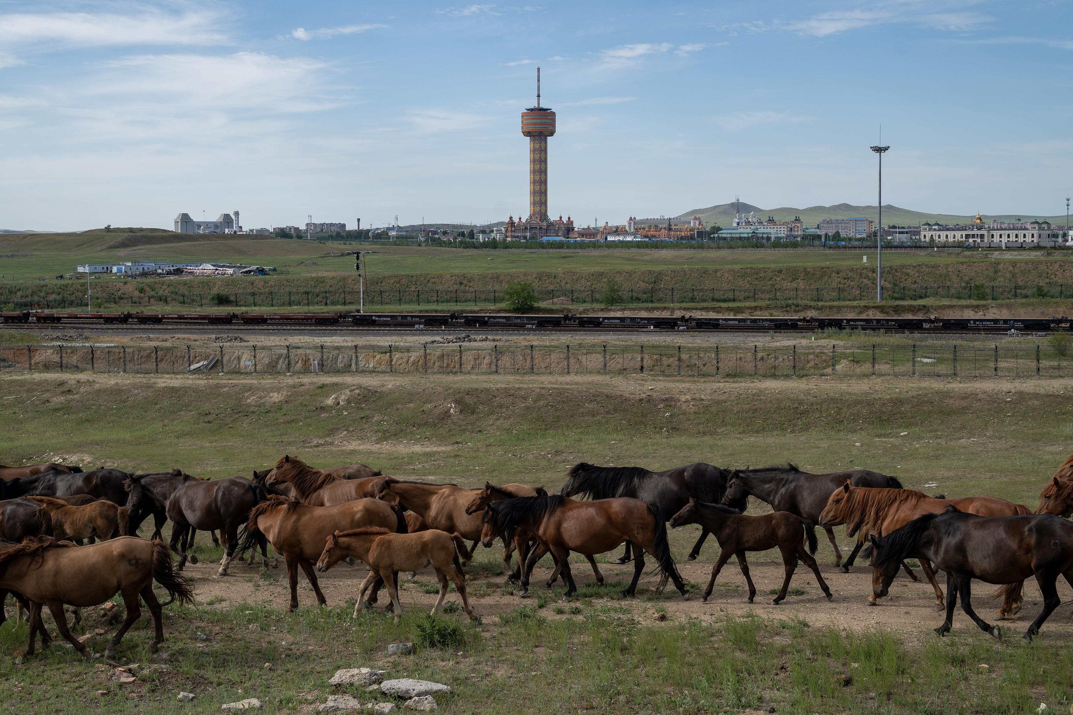 중국 네이멍구 접경 도시 만저우리의 초원에서 말을 기르고 있다. /사진=Andrea Verdelli/The New York Times