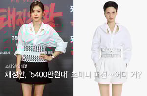 ä����, ������ �˳� '5400������' �ʹ̴� �мǡ�"��� ��?"