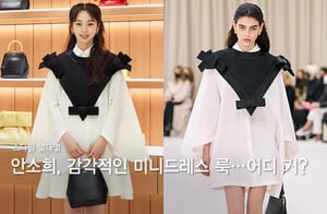 ¾È¼ÒÈñ, '1020¸¸¿ø´ë' ½ÃÅ©ÇÑ ¹Ì´Ïµå·¹½º ·è¡¦¾îµð °Å?