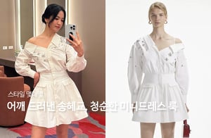 ¾î±ú µå·¯³½ ¼ÛÇý±³, û¼øÇÑ ¹Ì´Ïµå·¹½º ·è¡¦´«ºÎ½Å ÀÚÅ '°¨Åº'