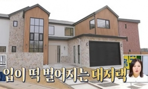브라이언, 평택 300평 집 공개…"수영장·영화관도" 비용은?