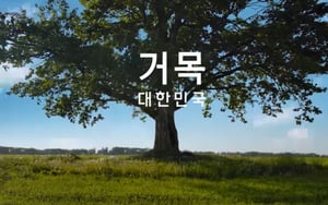 "거목 대한민국…삼권분립 지켜달라" 김문수, 뒤늦게 TV광고 공개