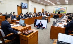 국회 정무위, '100조 첨단전략산업기금 조성' 산은법 개정안 의결