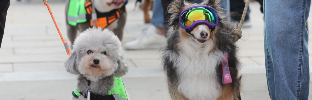 ����̡����л������ʵ� ���츮 ���� ��Ŵ�̡�