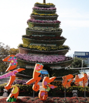 ÃÑõ¿¬»ö ¡®±¹Ç⡯¿¡ ÃëÇØ ¸¶¹ý ¼ÓÀ¸·Î dz~µ¢