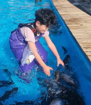 �޶��޶� ���λ�۾ ȸ vs ����, ���ڴ�?