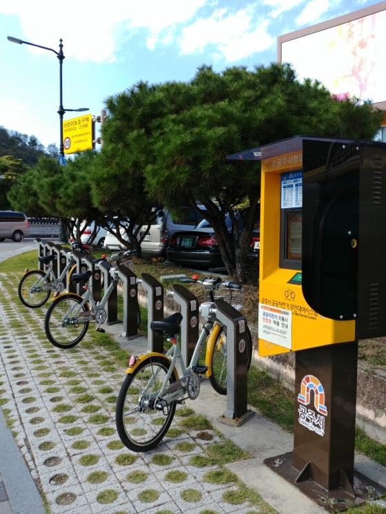 세종시 자전거 보험