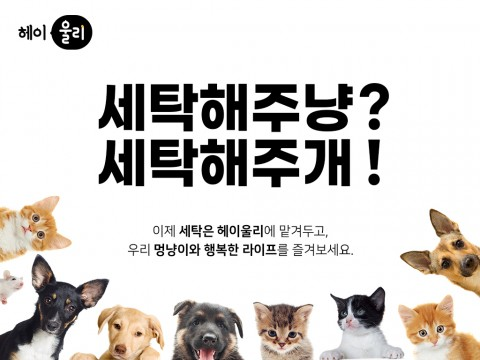 반려동물 보호자 대상 비대면 세탁소 ‘헤이울리’, 크라우드펀딩으로 INVEST... - 뉴스 썸네일 이미지