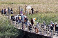 반값 여행에 경제도 꿈틀 ‘강진형 모델’ 선순환