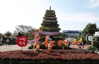 총천연색 ‘국향’에 취해 마법 속으로 풍~덩