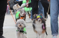 댕댕이·대학생·러너도 ‘우리 동네 지킴이’