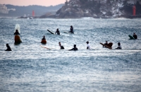 커피·서핑의 성지, 모두가 강원도래요~