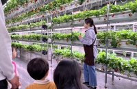 지하도가 딸기농장으로…‘달콤한’ 변신