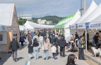 배 불리고 즐거움 주는 ‘명태의 재발견’, '고성명태축제'