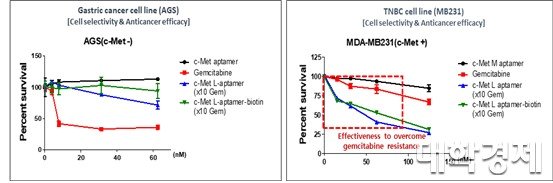 PTD2는 c-MET이 없는 세포(AGS 대장암 세포주)의 사멸에 영향이 거의 없으며, c-MET이 있는 암세포(MB 231 유방암 세포주)를 사멸케 하는 암세포 표적화의 도면


