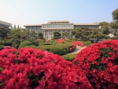 ������, 300�� ������� ä������ ����