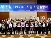 ִ, LINC 3.0  Ѱåӱϸ 