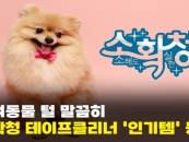 []"ݷ  "...Ȯû  Ŭ, ݷ 'α' 