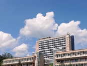 δ, '缺'  