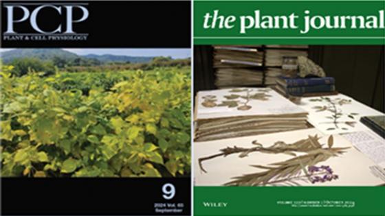 纹 ƴ    'Plant and Cell Physiology'( ) 'The Plant Journal' ǥ./=ƴ