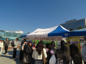 õ, ⵵ ̷ܰ 'ûå ȫ DAY' 