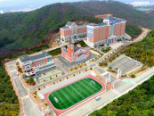 �浿�� ���������, ����û '�Ϲݰ��� ���ӱ��� ���' ����