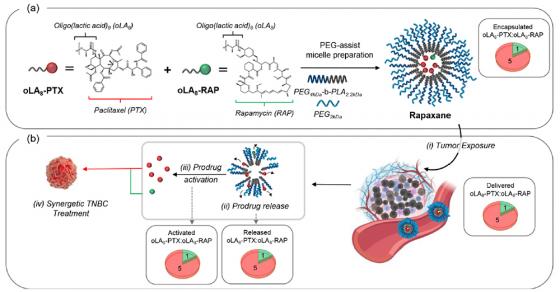 ������ �ܱ��� �������� ���� ��ĵ�./��������=�ܱ���
