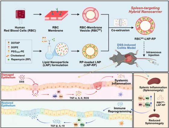 �ΰ� ������ ������ ��� ���� ǥ���� ��ü��� ��������ü�� ���䵵�� ������ ����ȯ ġ�� ��Ŀ����./��������=���縯��