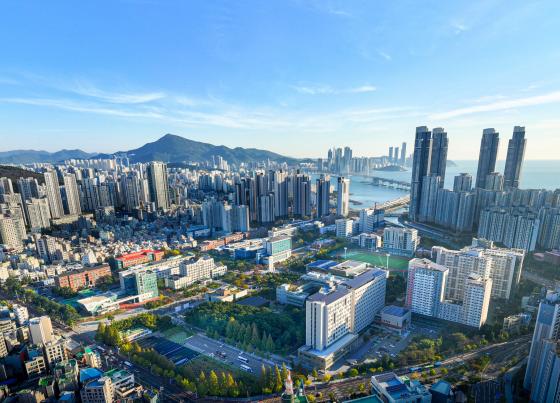 �����ΰ���б� �뿬ķ�۽� ����./��������=�ΰ��