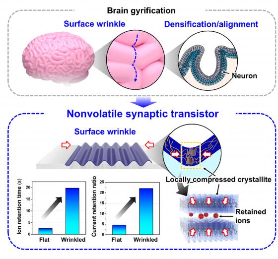 �ݿ����롤�������롤��õ�� ���� �������� �����ڷ� �̹���./��������=�ݿ�����