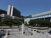 ���ƴ�, ���α��ʿ������ 28�� ���� ����...������ ��� 400%��