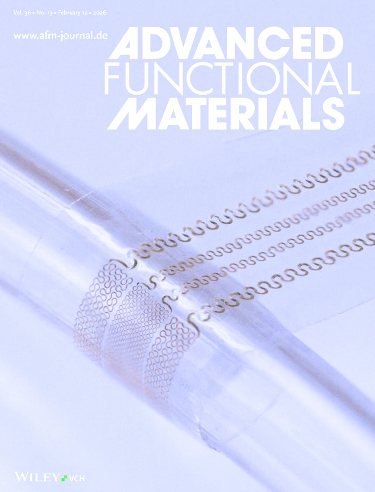 ����ȣ �ΰ�� �������� ���� ����� ����� 'Advanced Functional Materials' ǥ�� �̹���./��������=�ΰ��