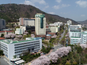 ������, �Ƿ��� �������� ��å��� ����...5�Ⱓ 32.5�� ����