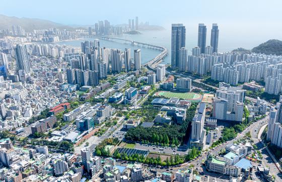 �����ΰ���б� �뿬ķ�۽� ����./��������=�ΰ��