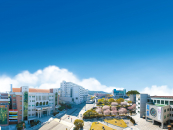 �뱸���д�, �����Ρ��ѱ�������� �ְ� 'AID ��ȯ ���� ��������' ����